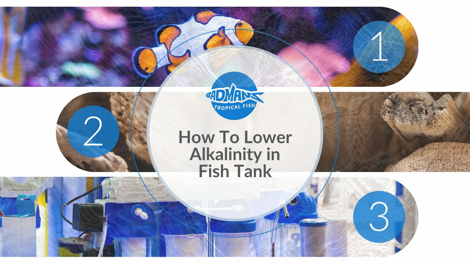 How To Lower Alkalinity In Fish Tank: A Step-by-Step Guide 