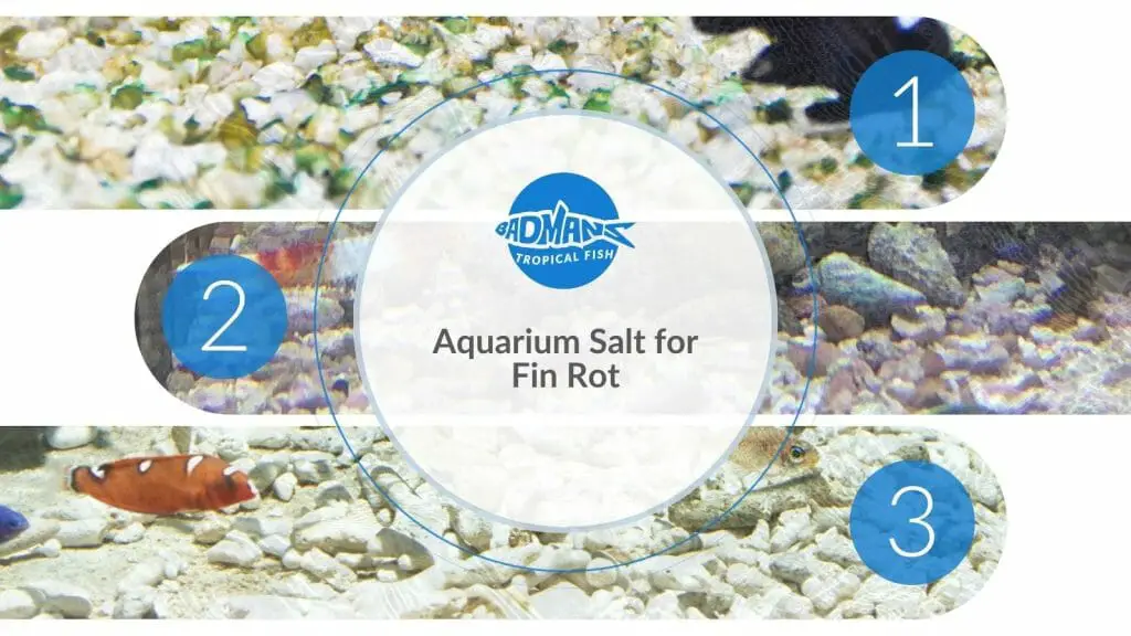 Aquarium salt 2024 for fin rot